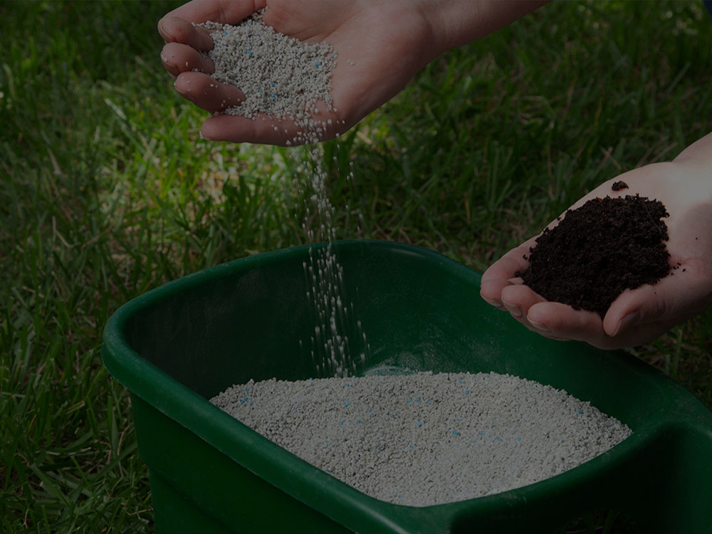 Montreal Lawn Care