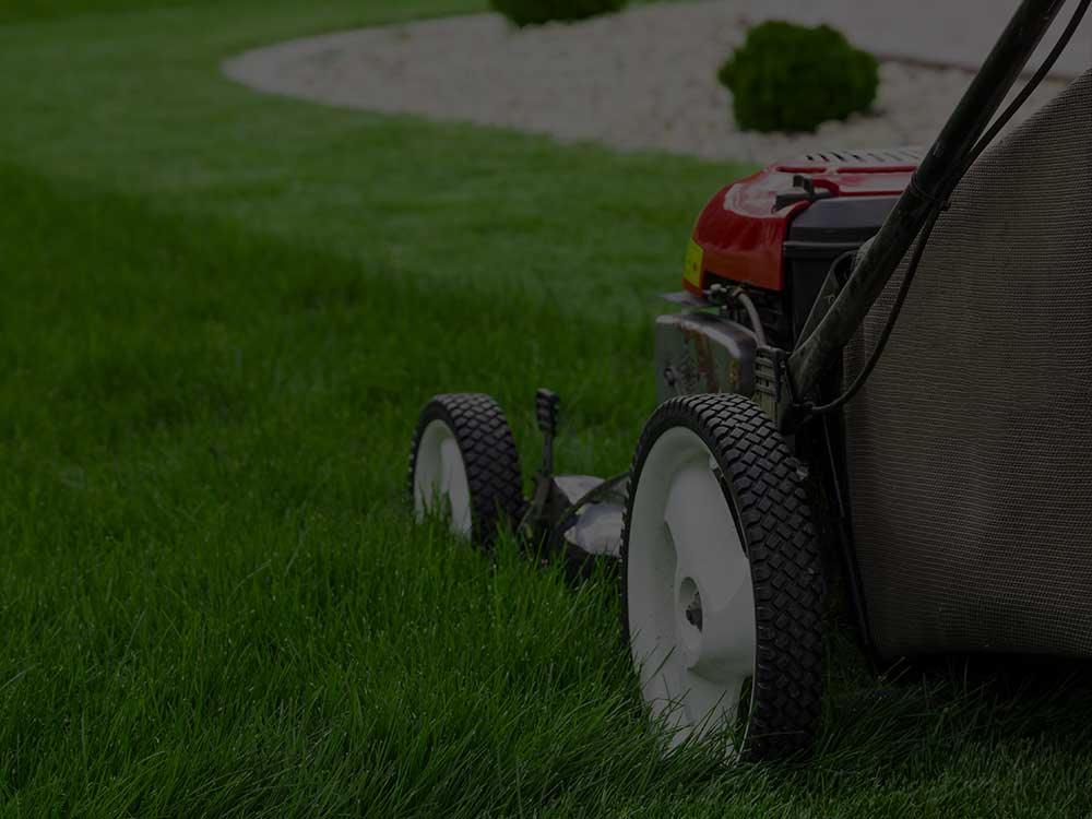 Montreal Lawn Mowing