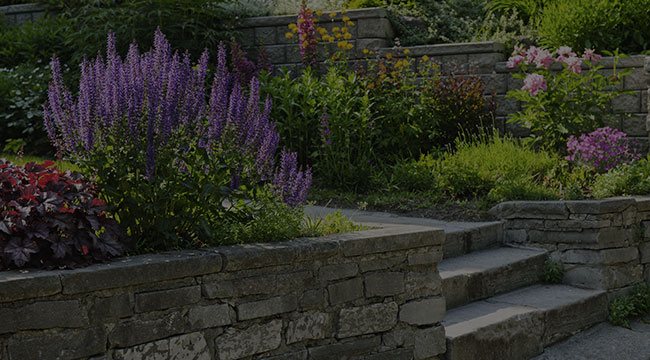 Toronto Hardscapes