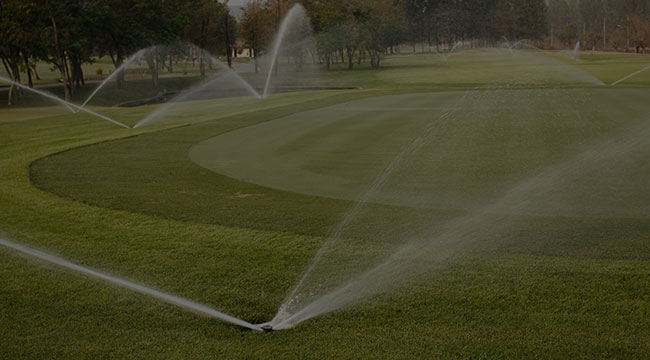 Toronto Irrigation
