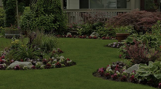 Toronto Landscape Design