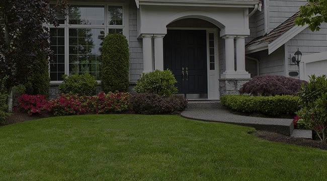 Toronto Landscaping