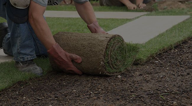 Toronto Lawn Care